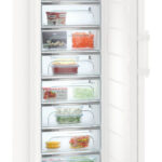 Liebherr GNP 5255 BluPerformance Premium Gefrierschrank rechts