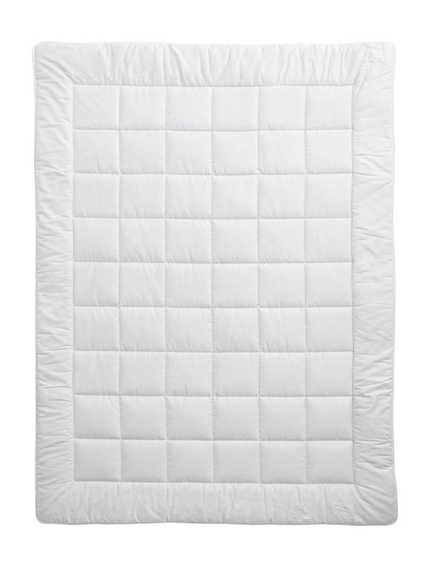 IP093129-1.jpg Billerbeck Meisterklasse Uno 240x240 Schurwolle Duvet – Bild 1