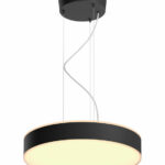 Philips Hue White Amb. Enrave Pendelleuchte schwarz inkl. Dimmschalter