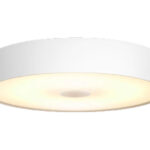 Philips Hue White Amb. Fair Deckenleuchte weiss + Dimmschalter