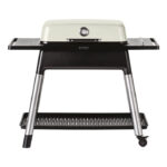 Everdure Furnace Gasgrill Steingrau