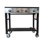 Blaser Trösch Companion Pro Gasgrill Schwarz